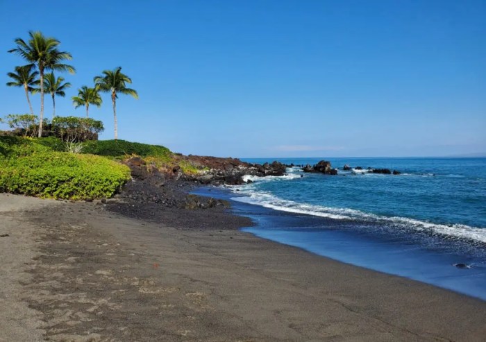 Owners 49 black sand beach