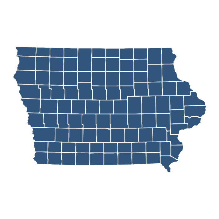 Iowa entity search