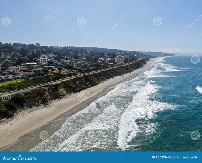 Del mar beach cam