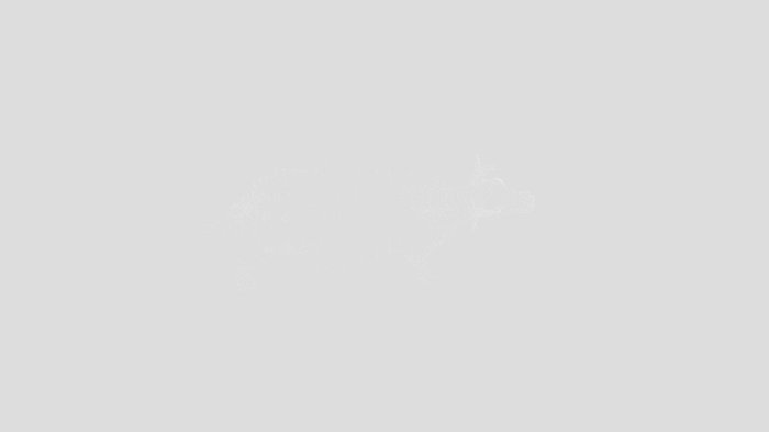 Bar6ie6 leak
