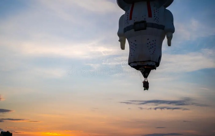 Treasured Chapters: Hot Air Balloon Festival Leon hot air balloon festival