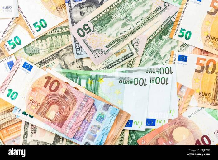 Euro 3d coin model introduction poly low currency other household models cgtrader c4d vr ar Euro 3d coin model introduction poly low currency other household models cgtrader c4d vr ar
